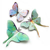 Life-Like Paper Butterfly & Moth Sets - Freshie & Zero Studio Shop