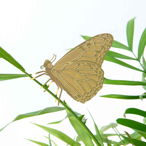 Brass Plant Accessory: Butterfly - Freshie & Zero Studio Shop