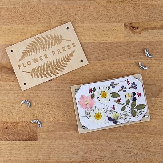 DIY Flower Press Kit - Freshie & Zero Studio Shop