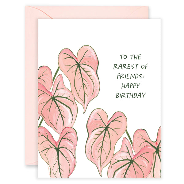 Rare Friend Birthday Card - Plant Card - Freshie & Zero Studio Shop