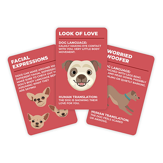 How to Speak Dog Card Deck - Freshie & Zero Studio Shop