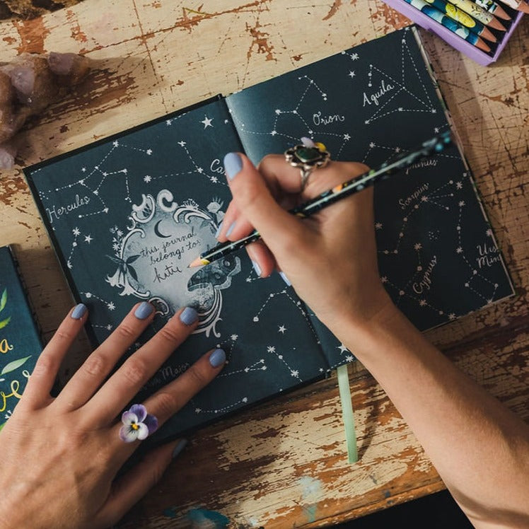 Under the Light of the Moon: journal by Katie Daisy - Freshie & Zero Studio Shop