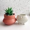 Mesa Plant Pot by Danica - Freshie & Zero Studio Shop